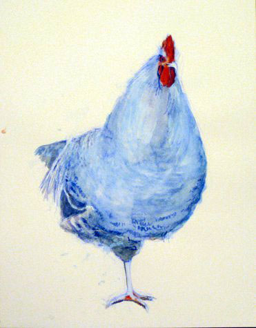 <b>Bird</b><br>Watercolor