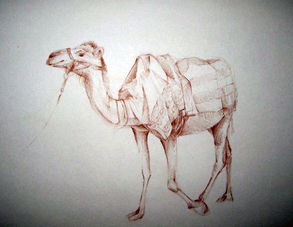 <b>Camel</b><br>Colored pencil