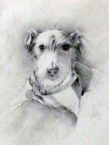 <b>Dog</b><br>Charcoal and graphite